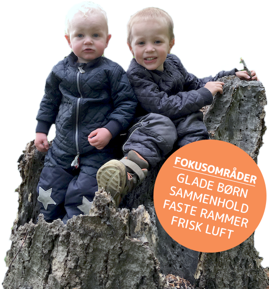 Sæholts Børnepasser /v Trine Nordsmark